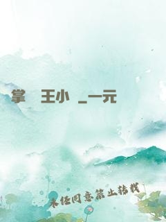 鐵掌無敵王小軍