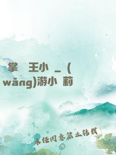 鐵掌無敵王小軍