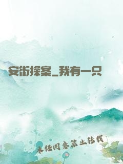 長安街探案