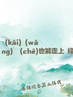 開(kāi)網(wǎng)約車(chē)也能走上巔峰，簡(jiǎn)直胡鬧