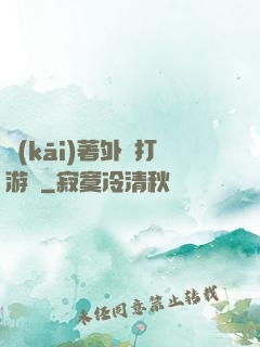 開(kāi)著外掛打游戲