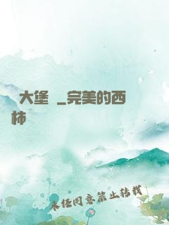 開掛大堡廚