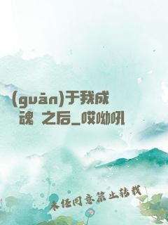 關(guān)于我成為滅魂師之后