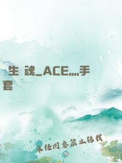 雙生軍魂