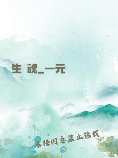 雙生軍魂