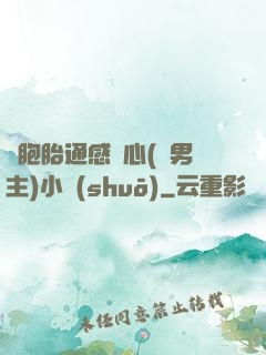 雙胞胎通感夾心(雙男主)小說(shuō)