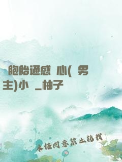 雙胞胎通感夾心(雙男主)小說