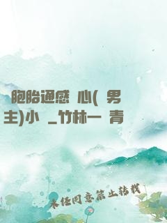 雙胞胎通感夾心(雙男主)小說