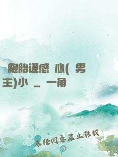 雙胞胎通感夾心(雙男主)小說