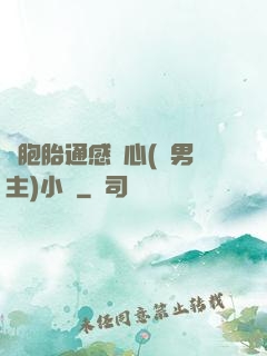 雙胞胎通感夾心(雙男主)小說
