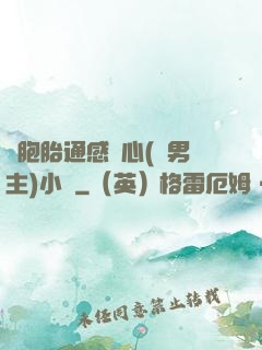 雙胞胎通感夾心(雙男主)小說