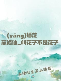 雙陽(yáng)插花芯修仙