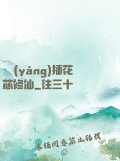 雙陽(yáng)插花芯修仙