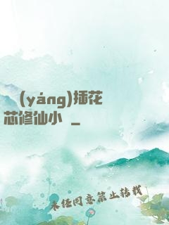 雙陽(yáng)插花芯修仙小說