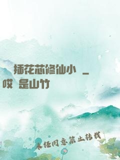 雙陽插花芯修仙小說