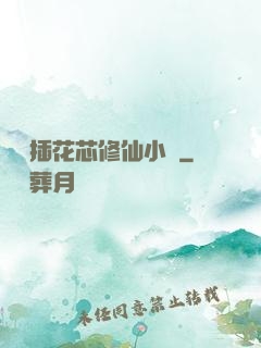 雙陽插花芯修仙小說