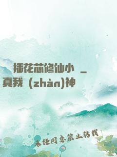 雙陽插花芯修仙小說