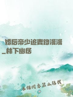 離婚后帝少追妻路漫漫