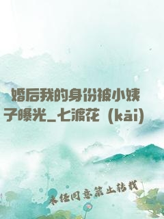 離婚后我的身份被小姨子曝光