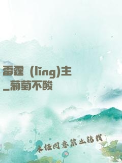 雷霆領(lǐng)主