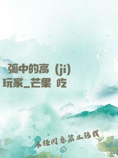 電弧中的高級(jí)玩家