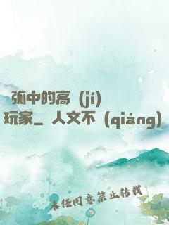 電弧中的高級(jí)玩家