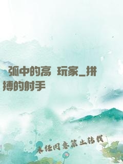 電弧中的高級玩家