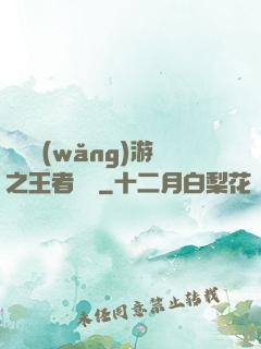 電競網(wǎng)游之王者歸來