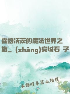 霍格沃茨的魔法世界之旅