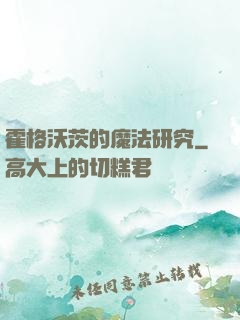 霍格沃茨的魔法研究