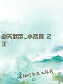 霸天武帝