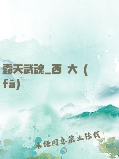 霸天武魂
