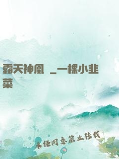 霸天神凰決