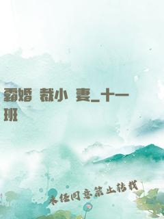 霸婚總裁小蠻妻