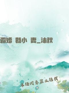 霸婚總裁小蠻妻