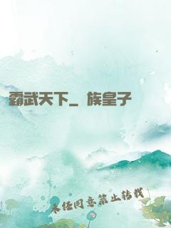 霸武天下