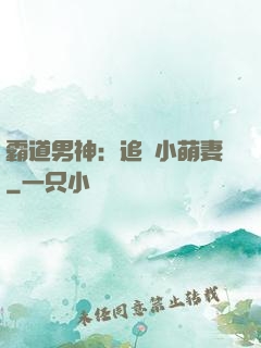 霸道男神：追寵小萌妻