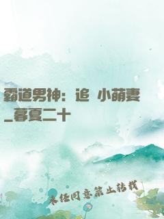 霸道男神：追寵小萌妻