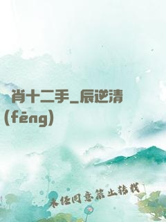 靈肖十二手