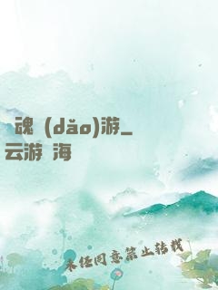 靈魂導(dǎo)游