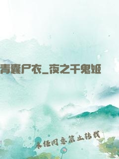 青囊尸衣