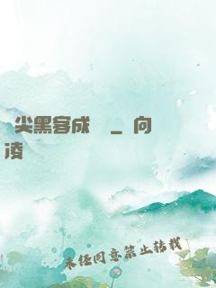 頂尖黑客成長記