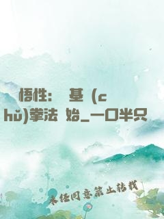 頂級悟性：從基礎(chǔ)拳法開始