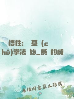 頂級悟性：從基礎(chǔ)拳法開始