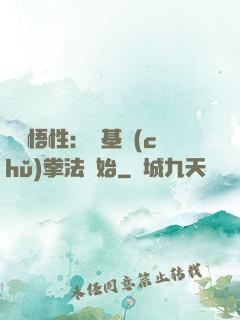 頂級悟性：從基礎(chǔ)拳法開始