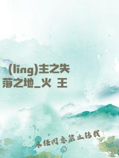 領(lǐng)主之失落之地