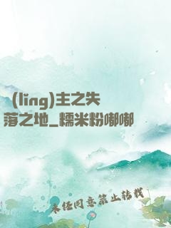 領(lǐng)主之失落之地