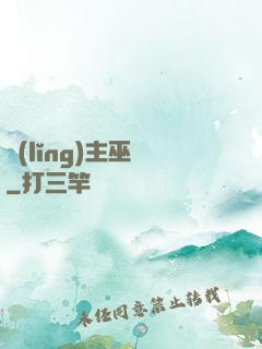領(lǐng)主巫師
