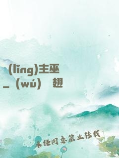 領(lǐng)主巫師