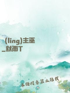 領(lǐng)主巫師